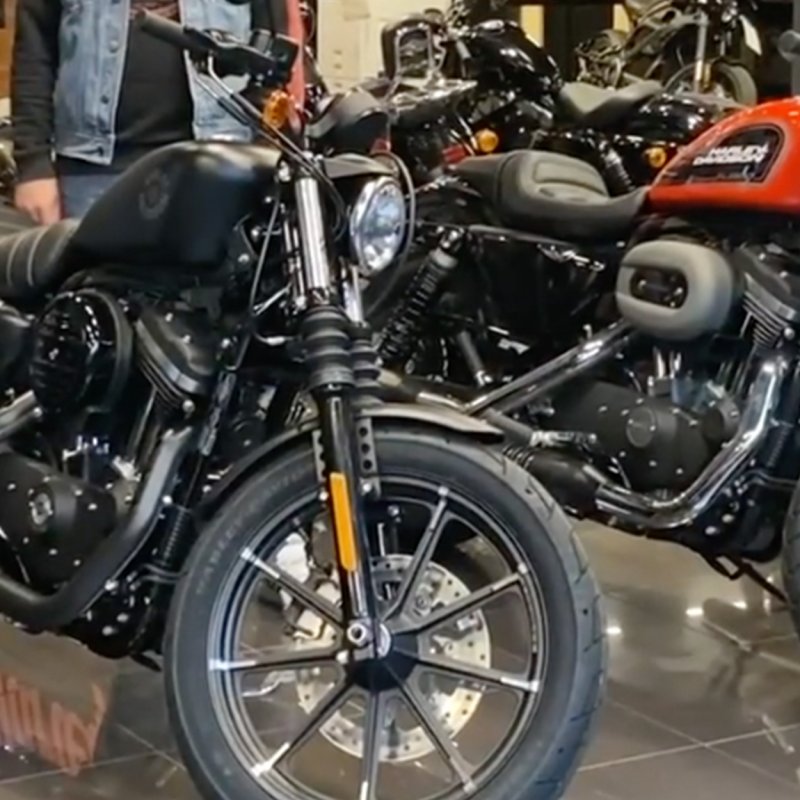 Ultimi 4 Sportster disponibili